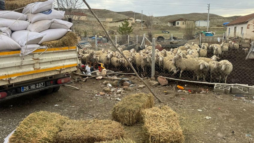 Eskişehir Büyükşehir’den Sivrihisar’da hayvan üreticilerine yem desteği