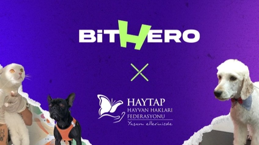 Haytap ve BitHero Kripto güçlerini birleştirdi