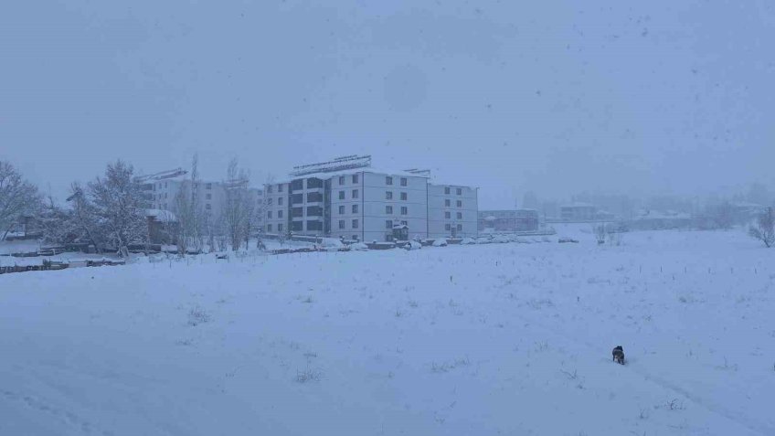 Kar, bir ilçenin tüm köy yollarını ulaşıma kapattı