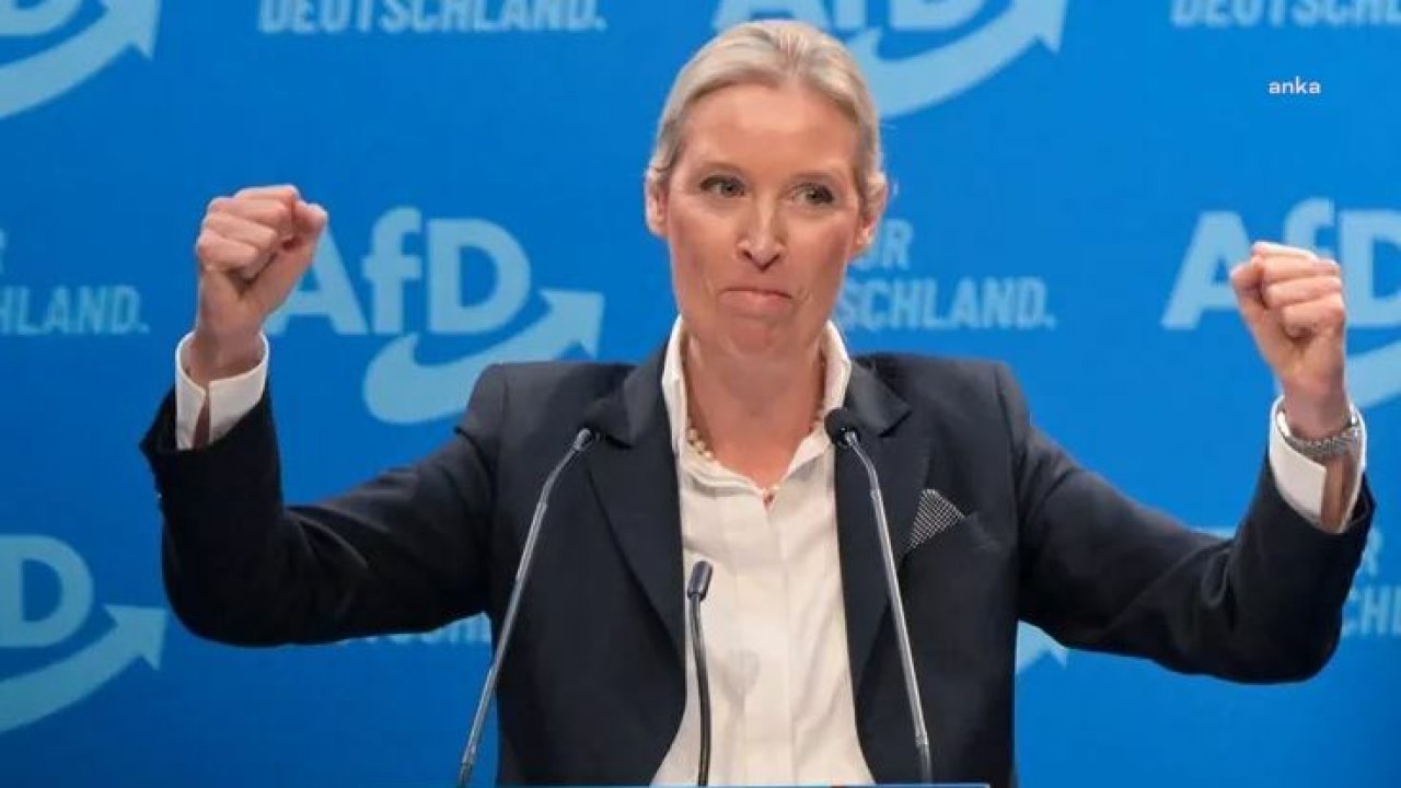 Almanya’da yükselişteki aşırı sağcı Almanya için Alternatif Partisi'nin (AfD) yasaklanması tartışmaları alevlendi