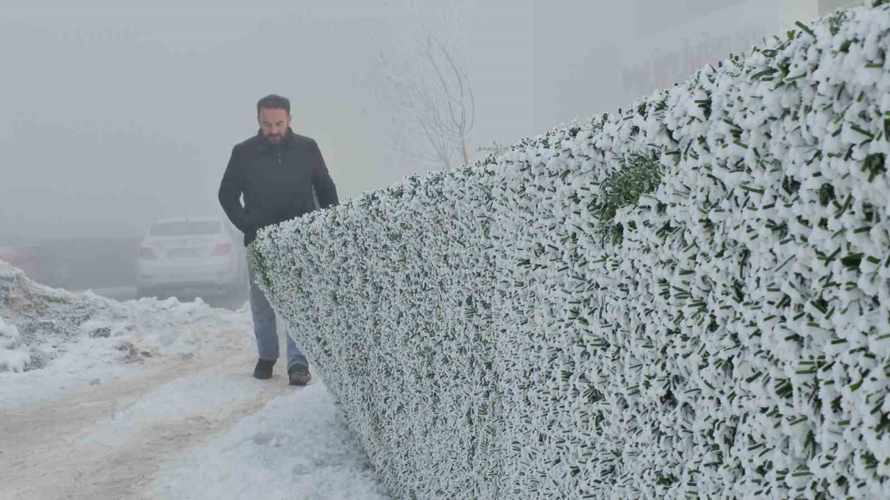 Bitlis’te dondurucu soğuk etkili oluyor: Ağaçlar kırağıyla kaplandı