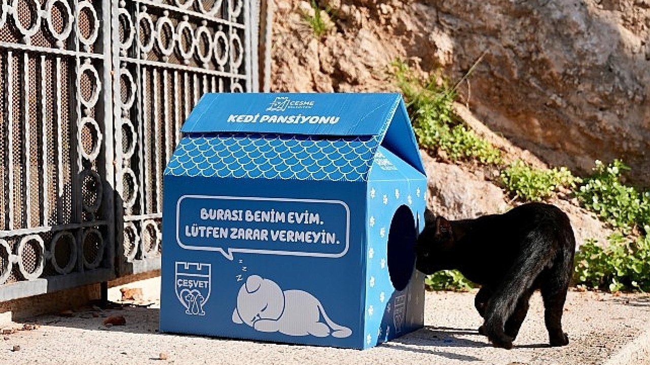 Çeşme Belediyesi'nden sokaktaki minik patilere sıcak bir yuva! 