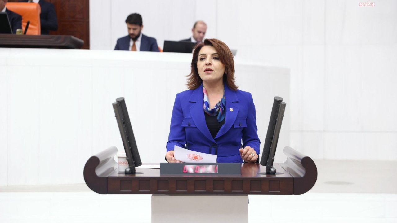 CHP’li Gülcan Kış, Bolu’daki yangını TBMM gündemine taşıdı: "Bakan derhal istifa etmelidir"