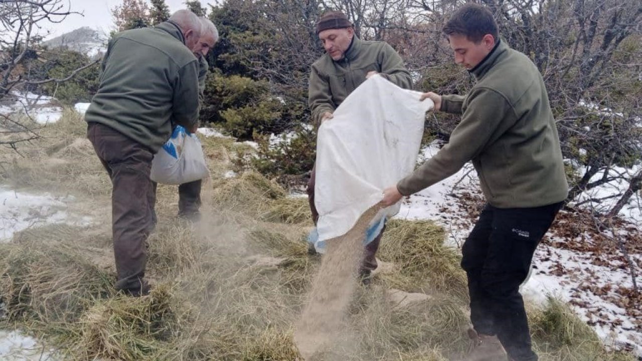 Elazığ’da yaban hayvanları için doğaya yem bırakıldı