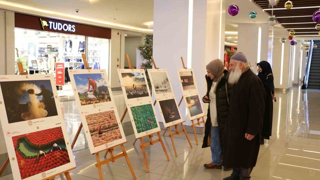 Erzincan’da 14. Uluslararası Tarım, Orman ve İnsan Fotoğraf Sergisi açıldı