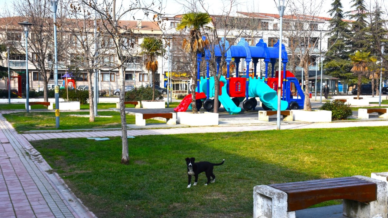 Gemlik Belediyesi, çevre düzenleme ve bakım çalışmalarına devam ediyor