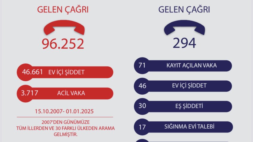 TKDF'nin Ev İçi Yardım Hattı Raporu: Aralık 2024'te toplam 294 çağrı alındı, en fazla aramayı 'eş şiddeti' oluşturdu