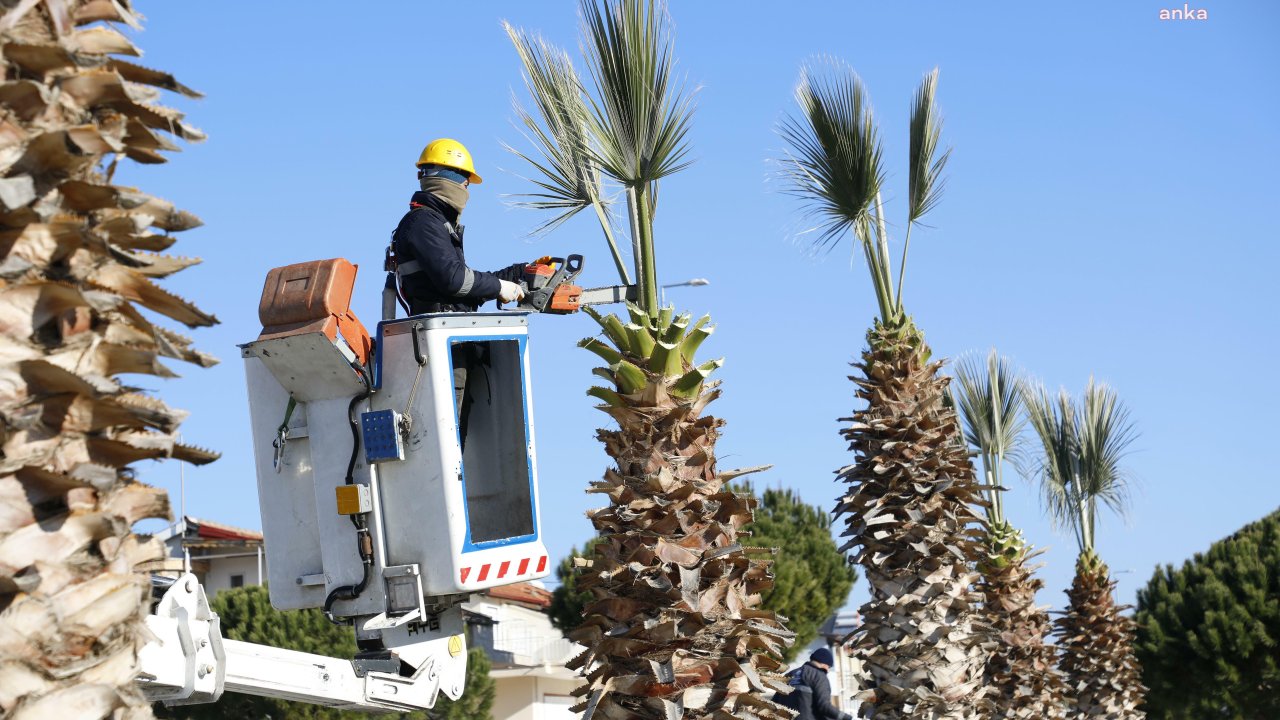 Aydın Büyükşehir Belediyesi ekiplerinden Söke ve Kuşadası’nda çalışma