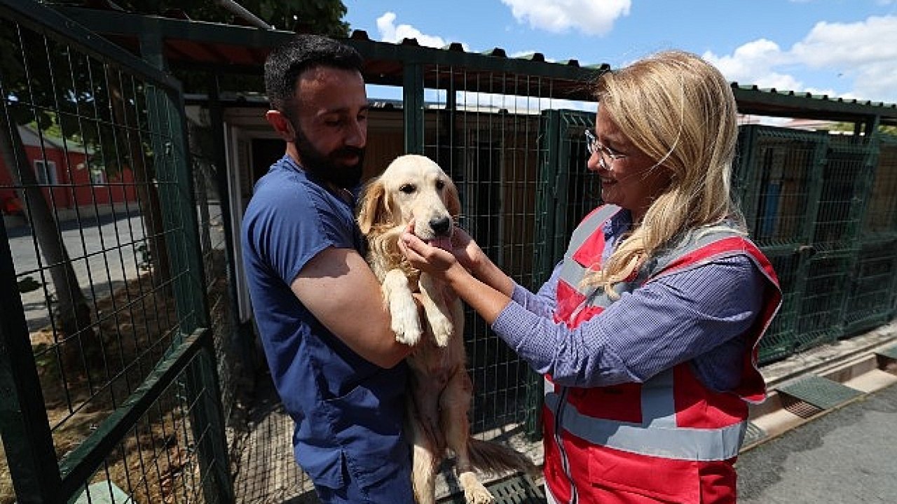 Bakırköy Belediyesi Veteriner İşleri Müdürlüğü Hayvanların Yanında