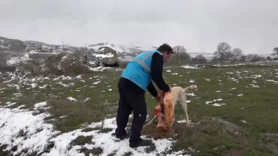 Balıkesir Büyükşehir Belediyesi, kış döneminde de sokak hayvanlarına mama dağıtıyor