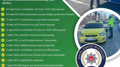 Bingöl’de kurallara uymayan sürücülere ceza