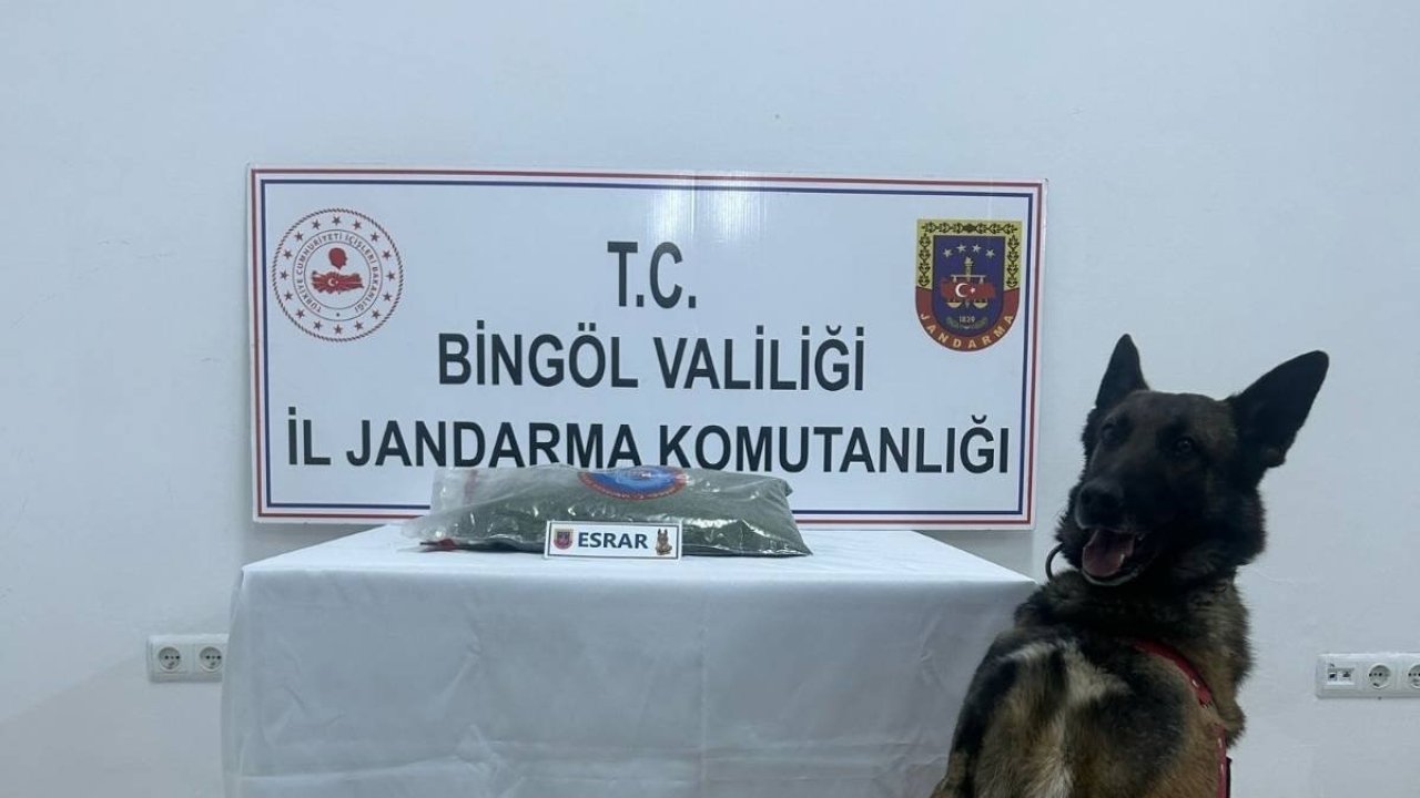 Bingöl’de uyuşturucu madde ele geçirildi, aranan 8 şüpheli yakalandı