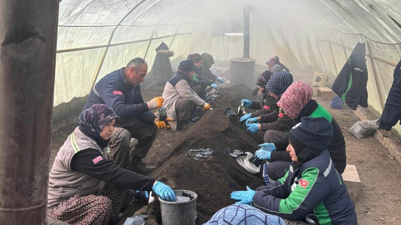 Burdur Belediyesi süs bitkilerini kendi yetiştiriyor