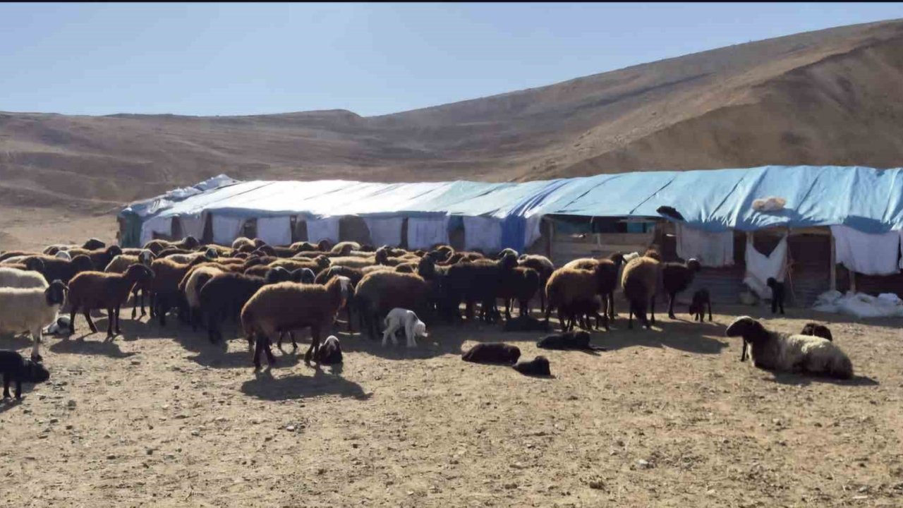 Elazığ’da karantina uygulanan 3 ilçede ekiplerin çalışmaları sürüyor