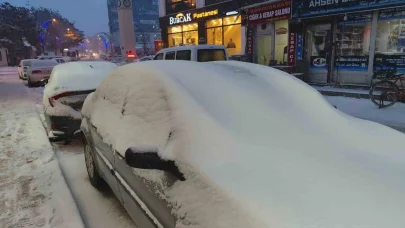 Erciş’te kar yağışı etkili oldu