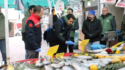 Erzincan’da balık denetimi gerçekleştirildi