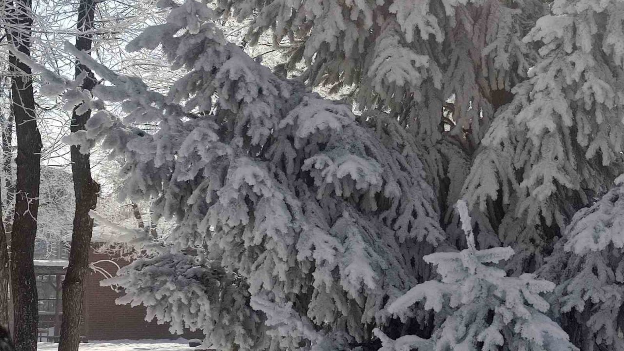 Göle’de hava eksi 27,7 derece: Araçlar soğuktan çalışmadı