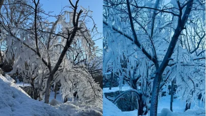 Hakkari’de ağaçlar buz tuttu