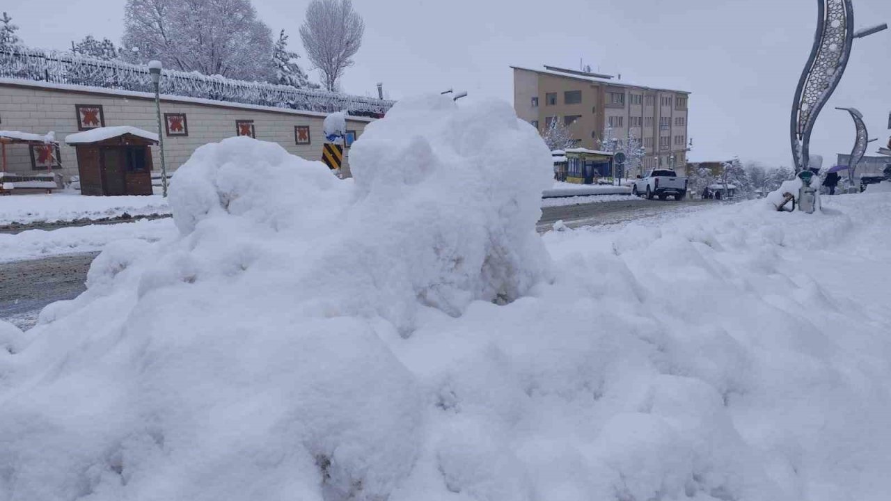 Hakkari’de kar yağışı: 168 yerleşim yerinin yolu kapandı