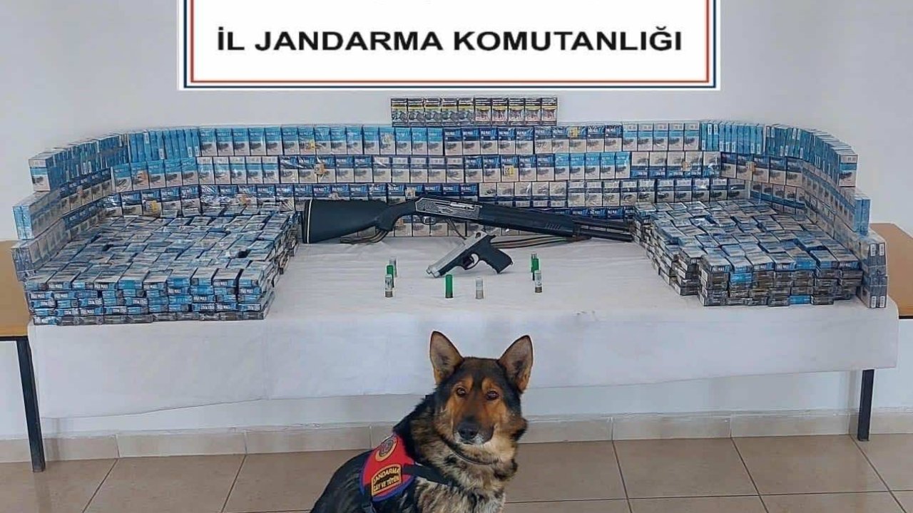 Jandarmadan kaçak sigara operasyonu