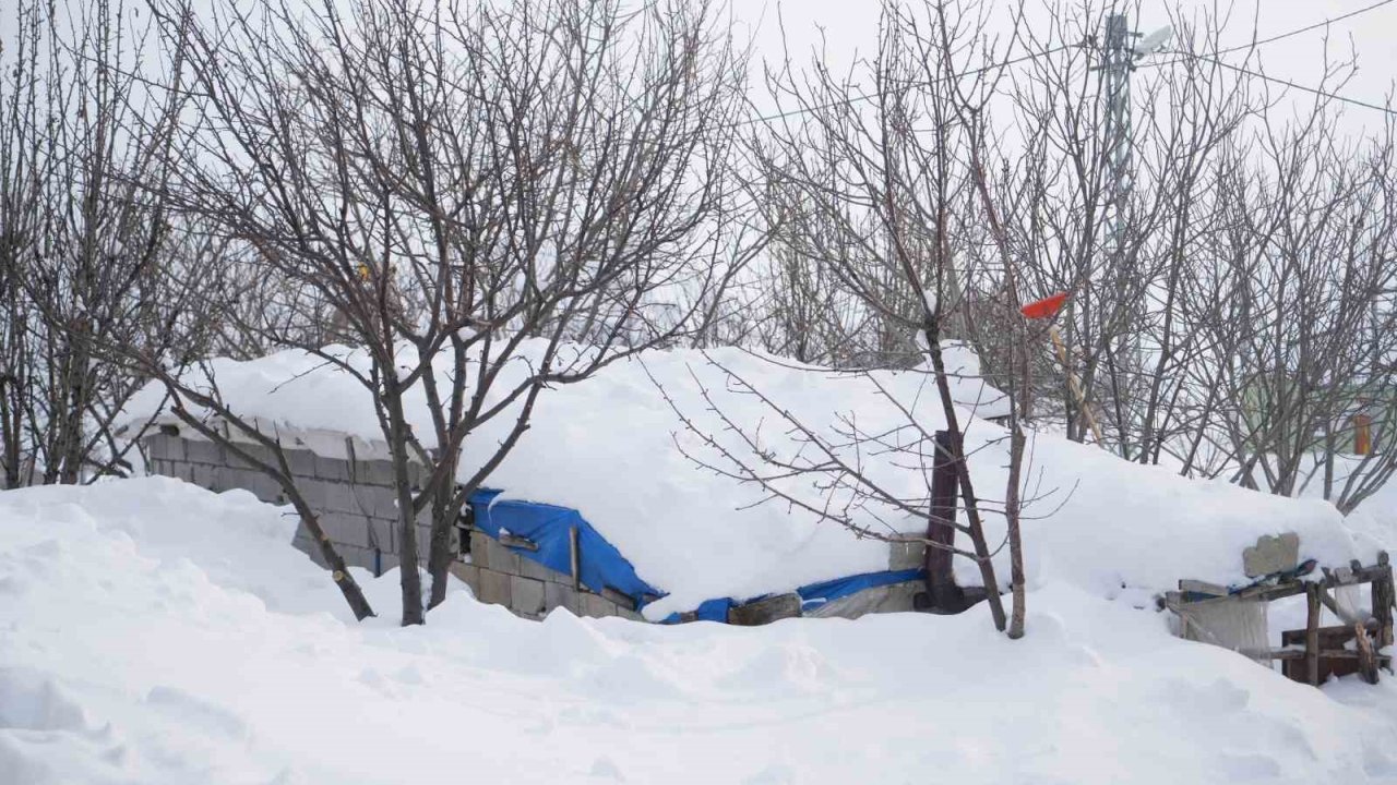 Kalecik köyünde evler ve ahırlar metrelerce karın altında kaldı