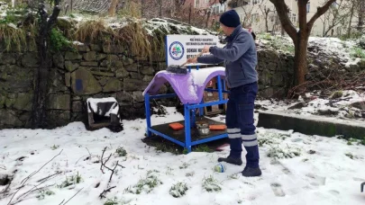 Karadeniz Ereğli Belediyesi, soğuk havada sokaktaki canları unutmadı