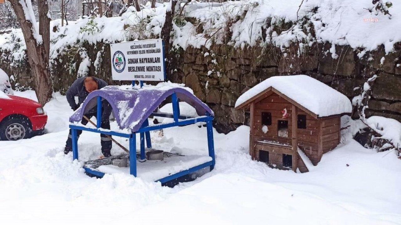 Karadeniz Ereğli Belediyesi, soğuk havada sokaktaki canları unutmuyor… Başkan Posbıyık: “Lütfen sizler de kapınızın önüne bir kap mama, su koyun”