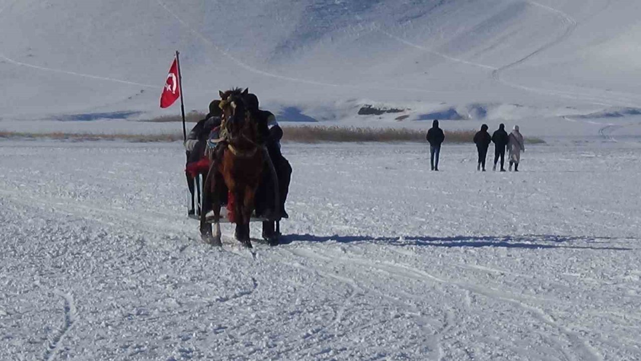 Kars’ta atlar buz üzerinde dörtnala