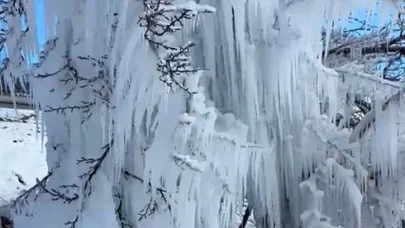 Malatya’da kayısı ağaçları buz kesti