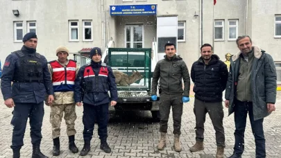 Malatya’da yaralı bulunan dağ keçisi koruma altına alındı