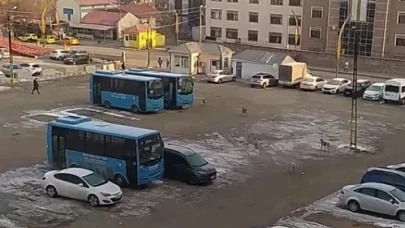 Muş’ta başıboş köpeklerden kaçan öğrenci yere kapaklandı