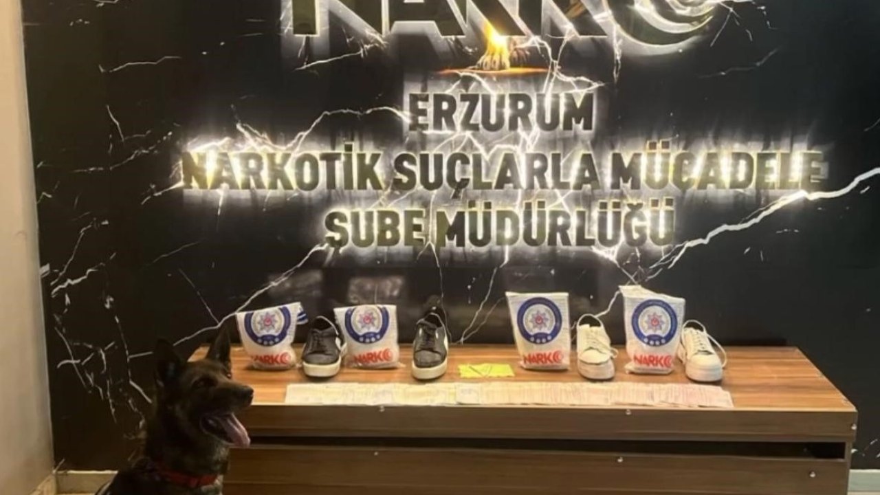 Narkotik Köpekleri Su ve Magnum yine affetmedi