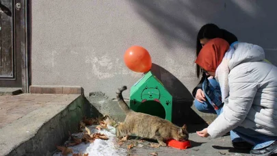 Öğrencilerden sokak hayvanlarına şefkat