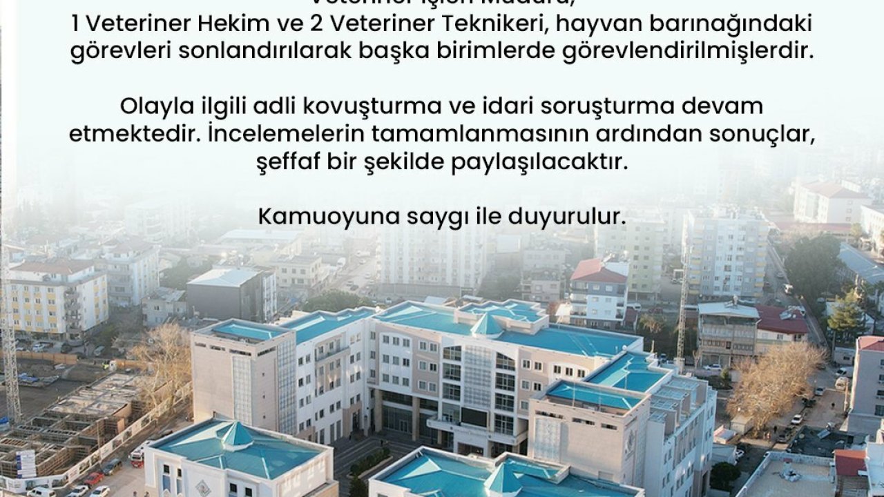 Osmaniye'de barınaktaki hayvanların ölümü nedeniyle dört personelin görev yeri değiştirildi 