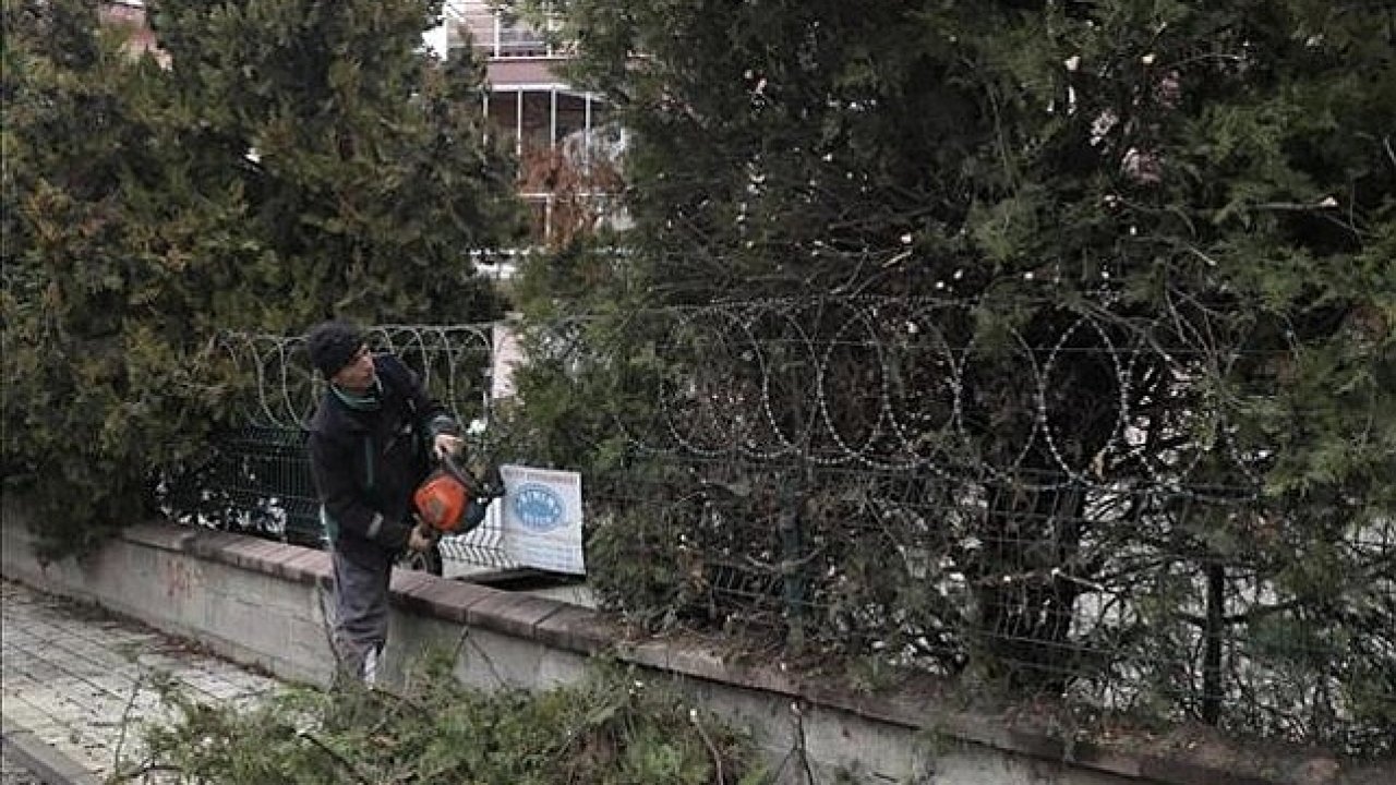 Şehir Genelinde Ağaç Budama Çalışmaları Sürüyor