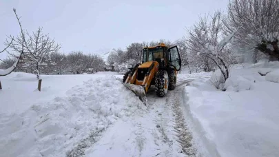 Tunceli’de, kardan kapanan yolların büyük bölümü açıldı