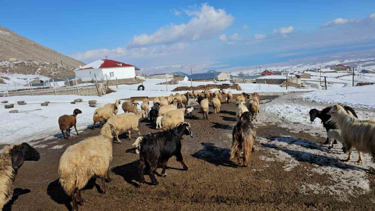 Türkiye’nin en yüksek rakımlı köyü Kışkılı, dron görüntüleriyle hayran bıraktı