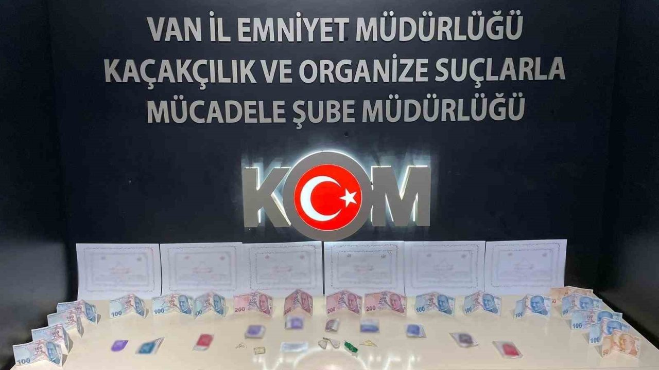 Van’da gümrük kaçakçılığı operasyonu