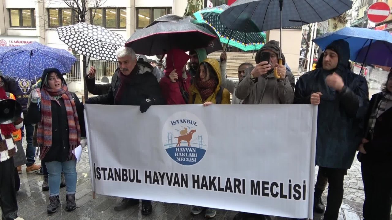 Yaşam hakkı savunucularından Sağlık Bakanlığı'na tepki: "Yaşamdan yana olun"