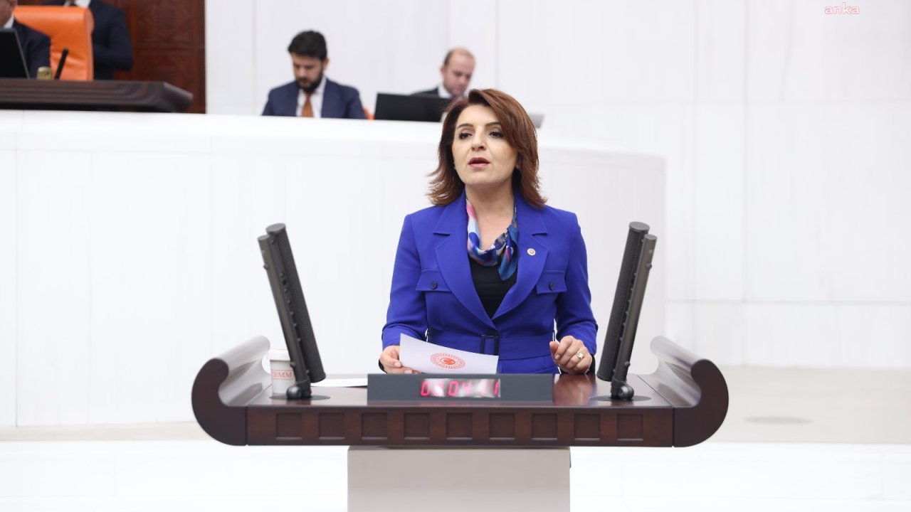 CHP’li Gülcan Kış: Halkın cebindeki yangını TÜİK’in çarpıtılmış verileriyle söndüremezsiniz