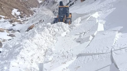 Doğu’daki 7 il için çığ uyarısı