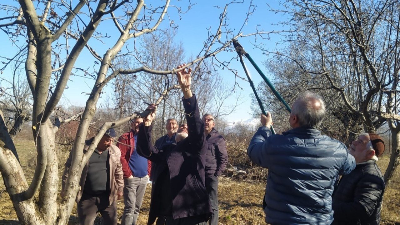 Erzincan çiftçisine ‘budama’ uyarısı