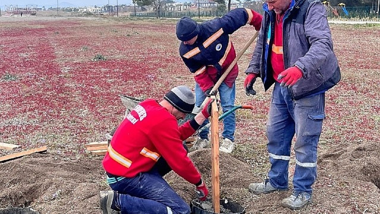 Kum Zambakları Koruma Altında