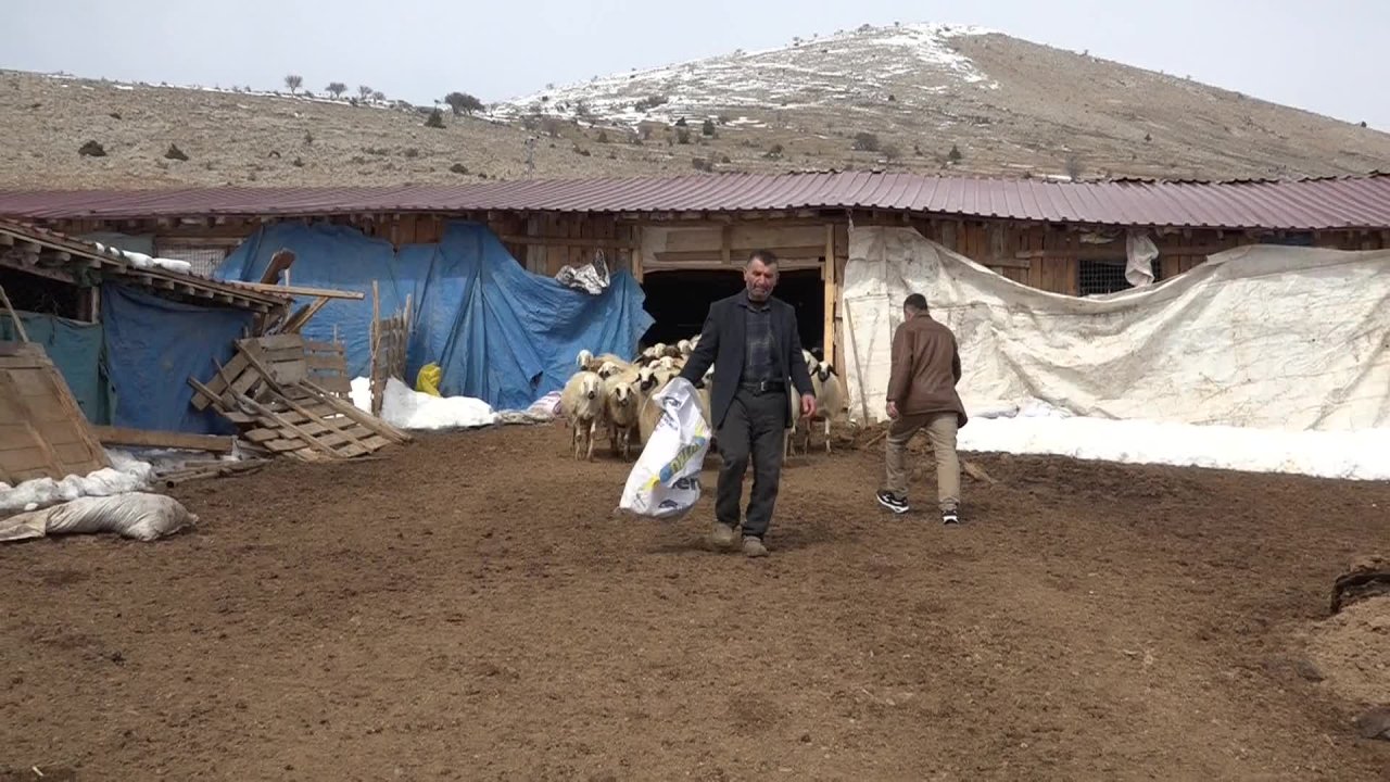 Malatya'da depremde ahırları zarar gören yetiştiricilere destek programı