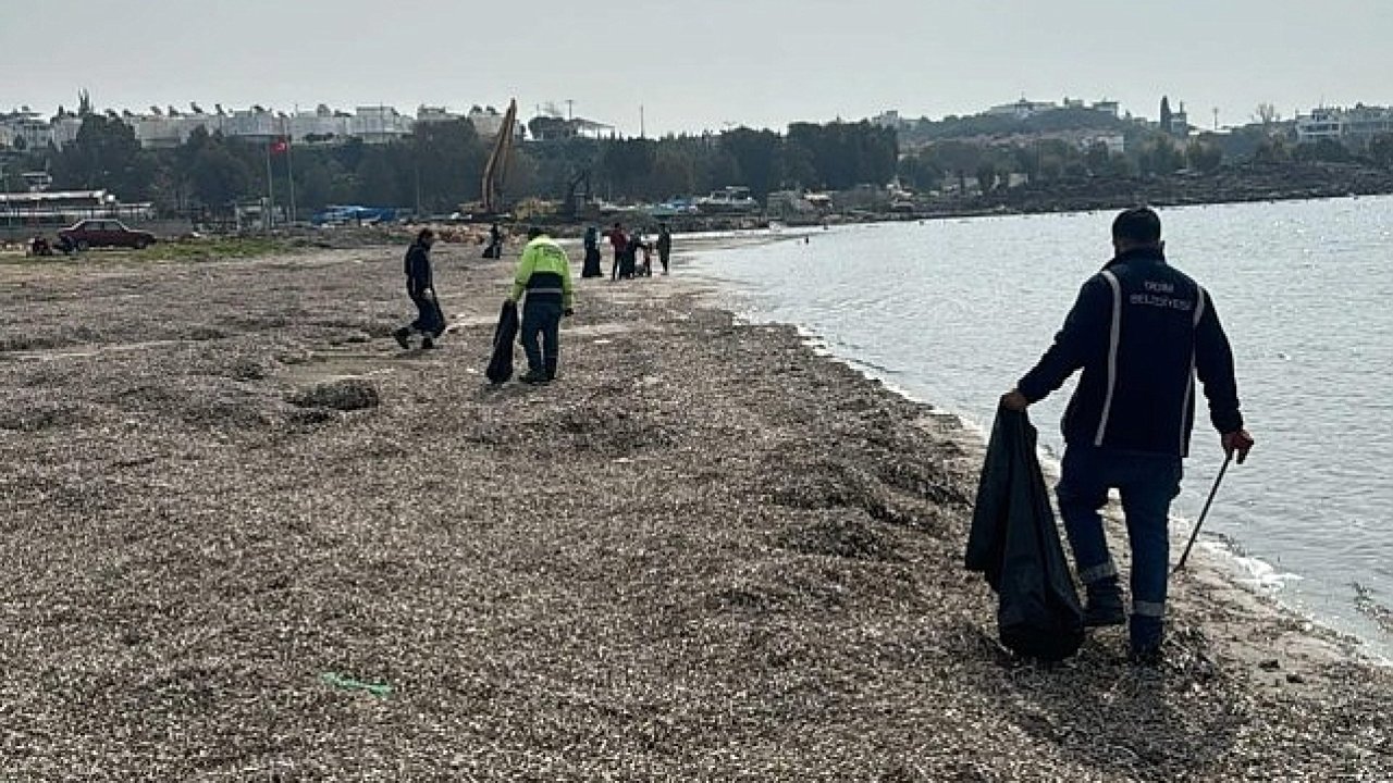 Mavişehir Sahili'nde Detaylı Temizlik Çalışması Yapıldı