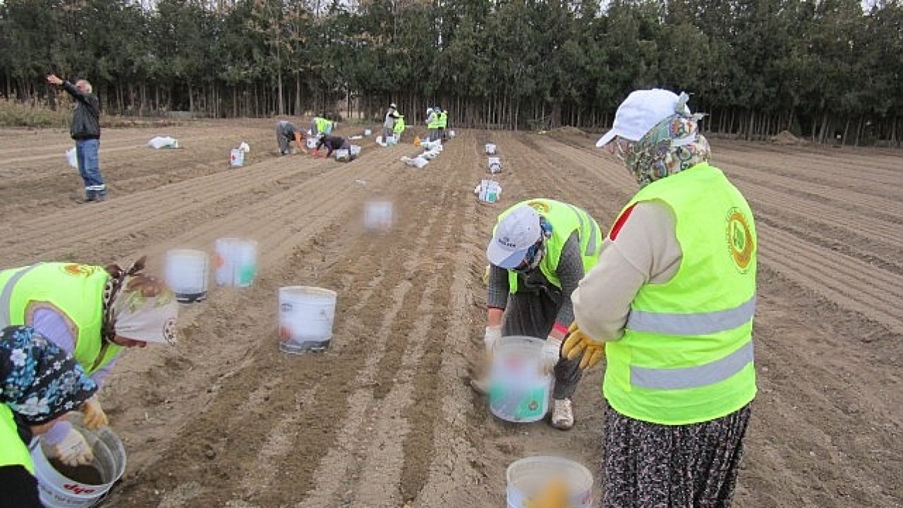 OGM'den girişimci orman köylüsü kadınlara 64 milyon TL destek