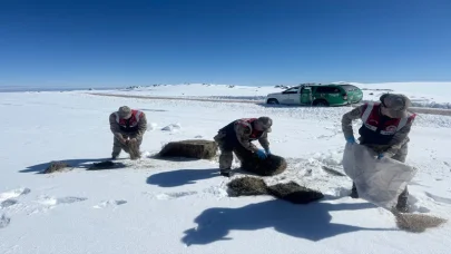 Şanlıurfa’da yaban hayvanları için doğaya yem bırakıldı