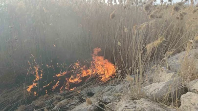 Van’da sazlık alanda yangın