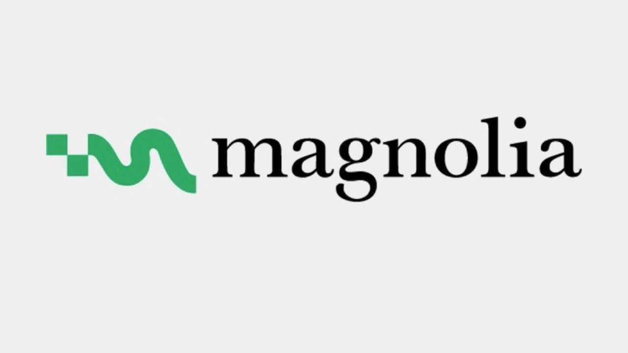Magnolia, küresel büyüme ve yapay zekâ stratejisini güçlendirmek için Luc Haldimann’ı Yönetim Kurulu Başkanı olarak atadı