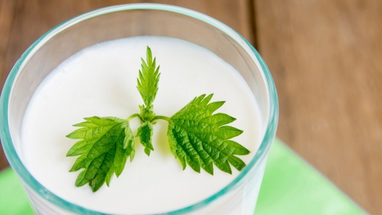 Ramazan’da susuz kalmayın... Süt ve ayran hidrasyonun gizli kahramanları